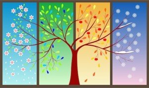 seasons